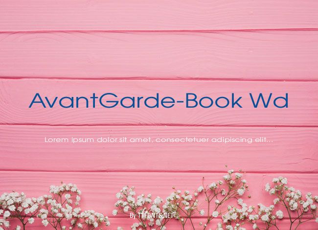 AvantGarde-Book Wd example